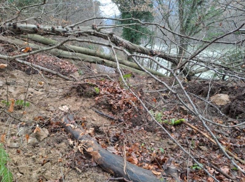 Vir in foto: KS Podkraj