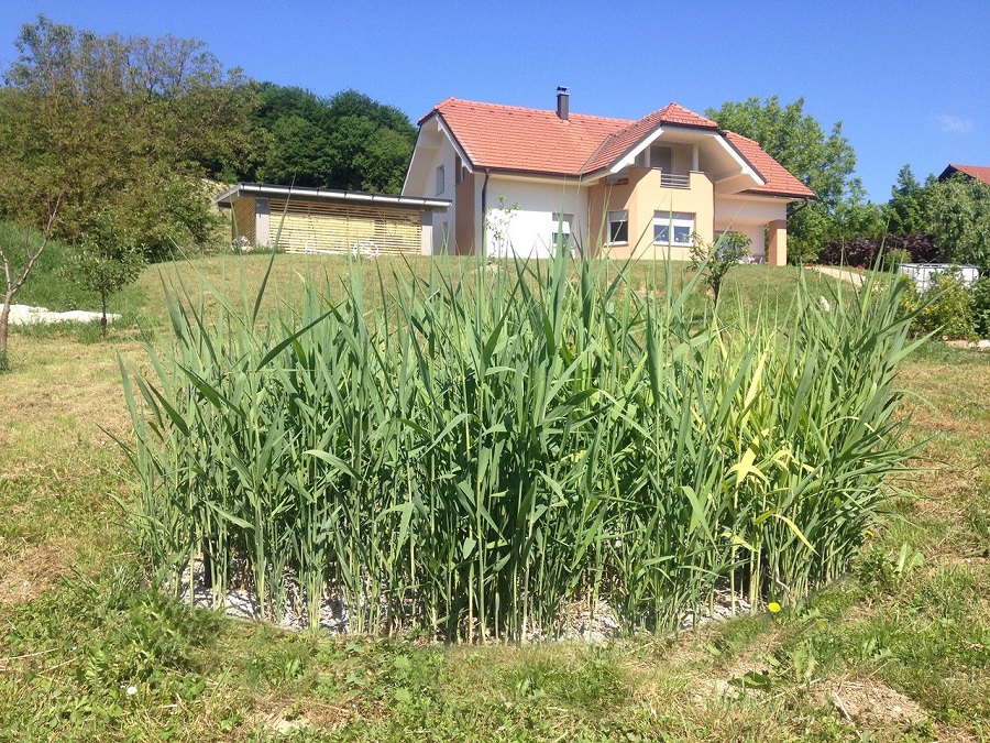 Foto: Iztok Ameršek