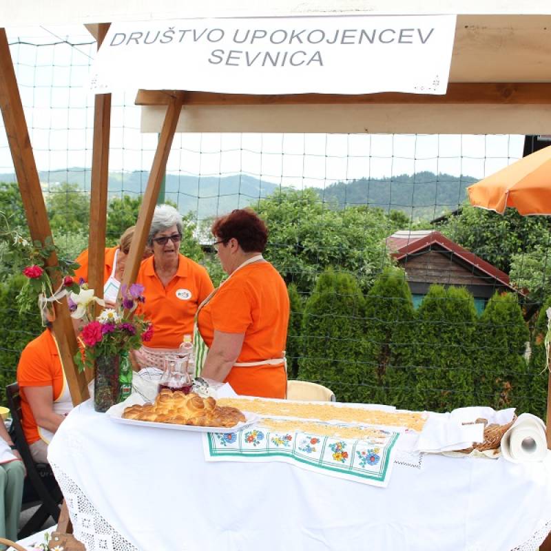 festival_goveje_juhe_2022_du_sevnica.jpg