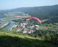 kondor_radece_prnovse_2011_07_12.jpg