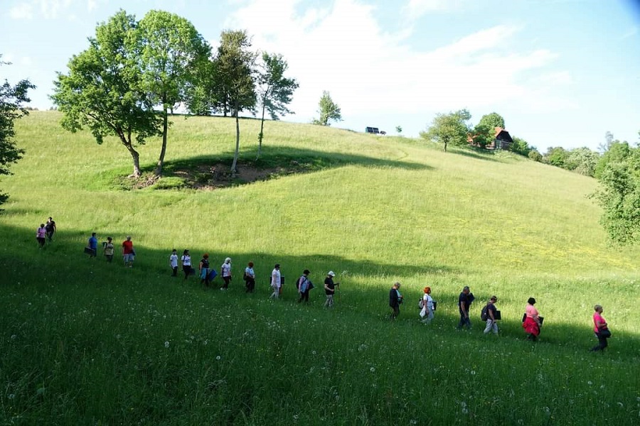 Foto: arhiv Društva Treelogy in D.Kalin
