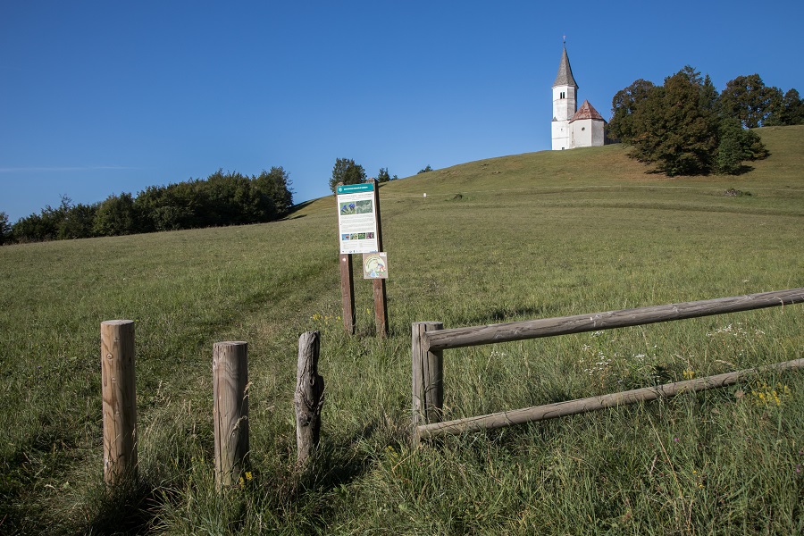 Foto: Ljubo Motore