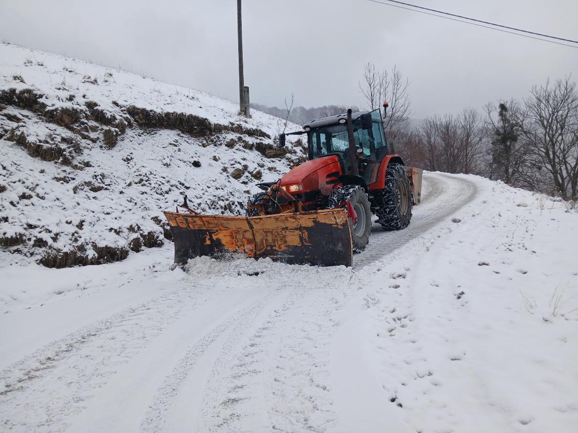 Foto: Boštjan Sonc