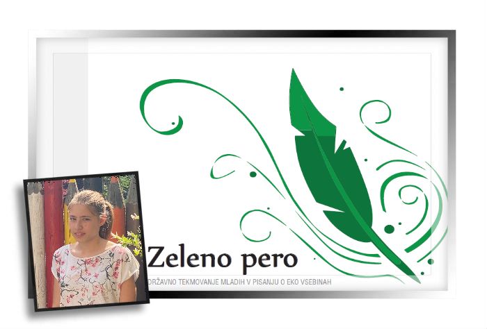 Vir in foto: OŠ Radeče